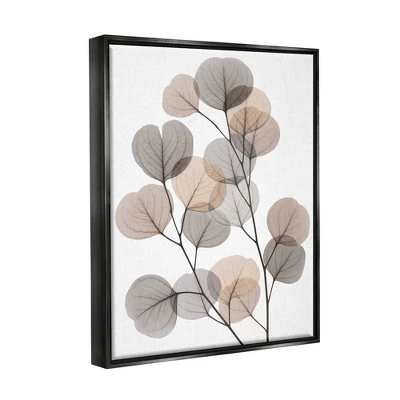Stupell Industries Modern Eucalyptus Leaf Stems Translucent Brown Grey Leaves 2 Stupell Industries Modern Eucalyptus Leaf Stems Translucent Brown Grey Leaves - Image 2
