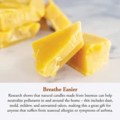 Candle By The Hour 50-Hour Beehive Candle, Eco-friendly Natural Beeswax With Cotton Wick -Home Decor GUEST 571d2e60 6be7 4456 b966 84a57ae86528