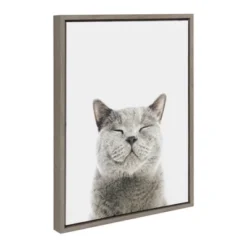 18" X 24" Sylvie Smiling Cat Framed Canvas Wall Art By Amy Peterson Gray - Kate And Laurel