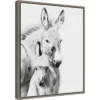 16" X 20" Donkey Portrait V By PH Burchett Framed Canvas Wall Art - Amanti Art
