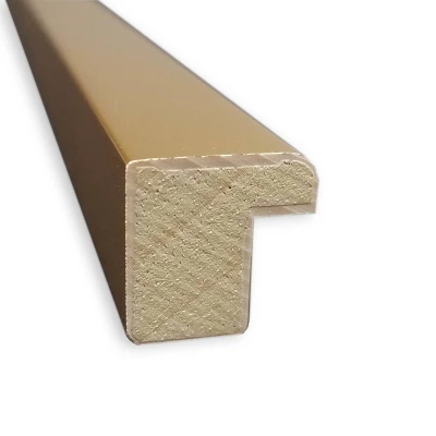 21" X 21" Ficus I By Asia Jensen Framed Wall Art Print Pink - Amanti Art 1 21" X 21" Ficus I By Asia Jensen Framed Wall Art Print Pink - Amanti Art